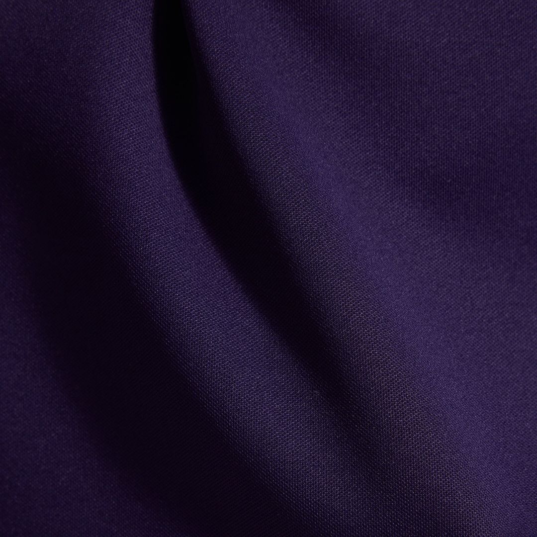 Minnesota Vikings Andrew Van Ginkel Nike Purple 2026 product image 21