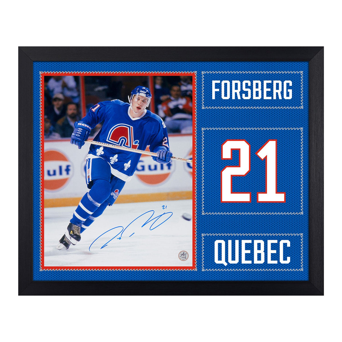 Peter Forsberg Signed Quebec Nordiques Uniform Graphic 19x23 Frame product image 1, provided for visual reference and