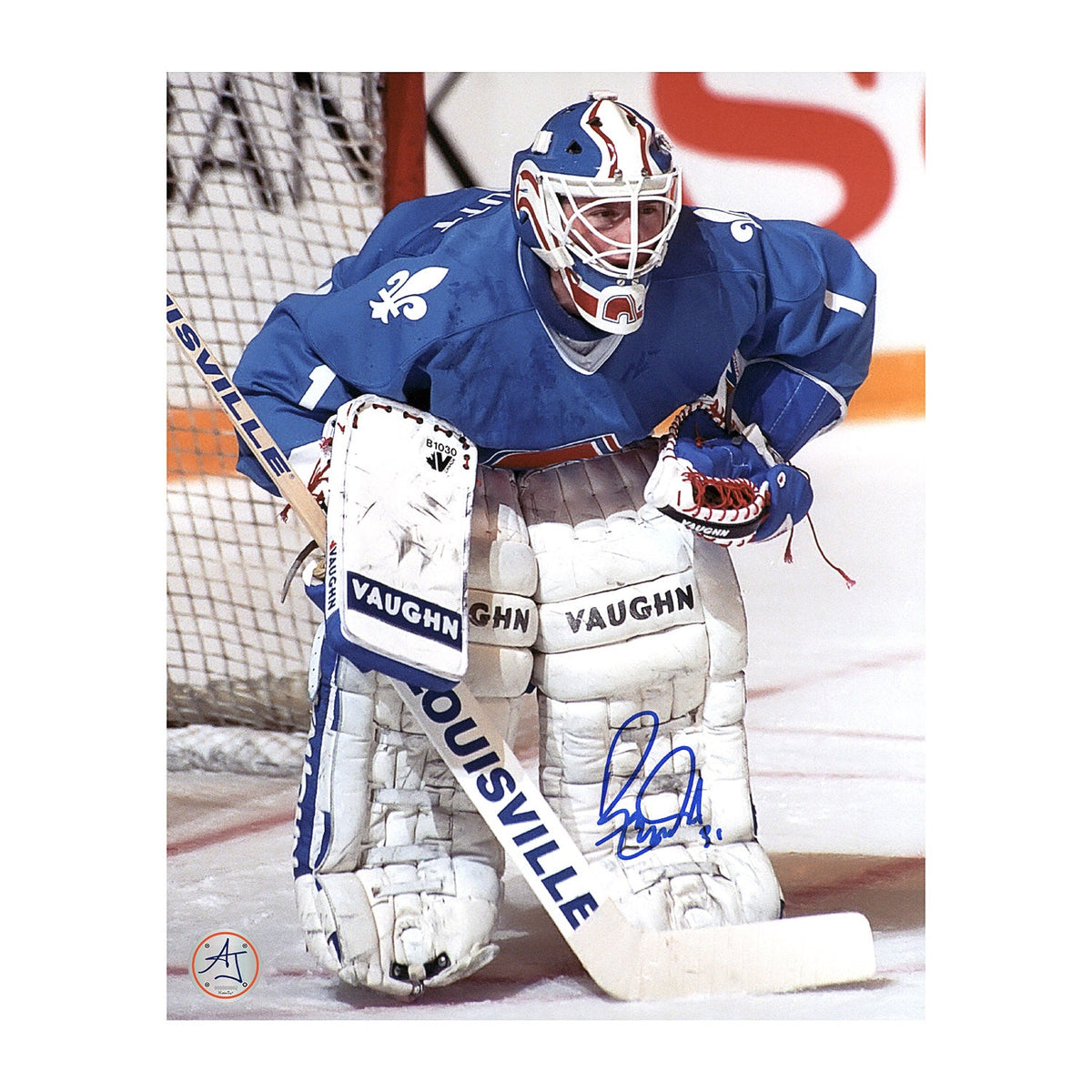 Ron Tugnutt Autographed Quebec Nordiques Goalie 8x10 Photo product image 1, provided for visual reference and product detail