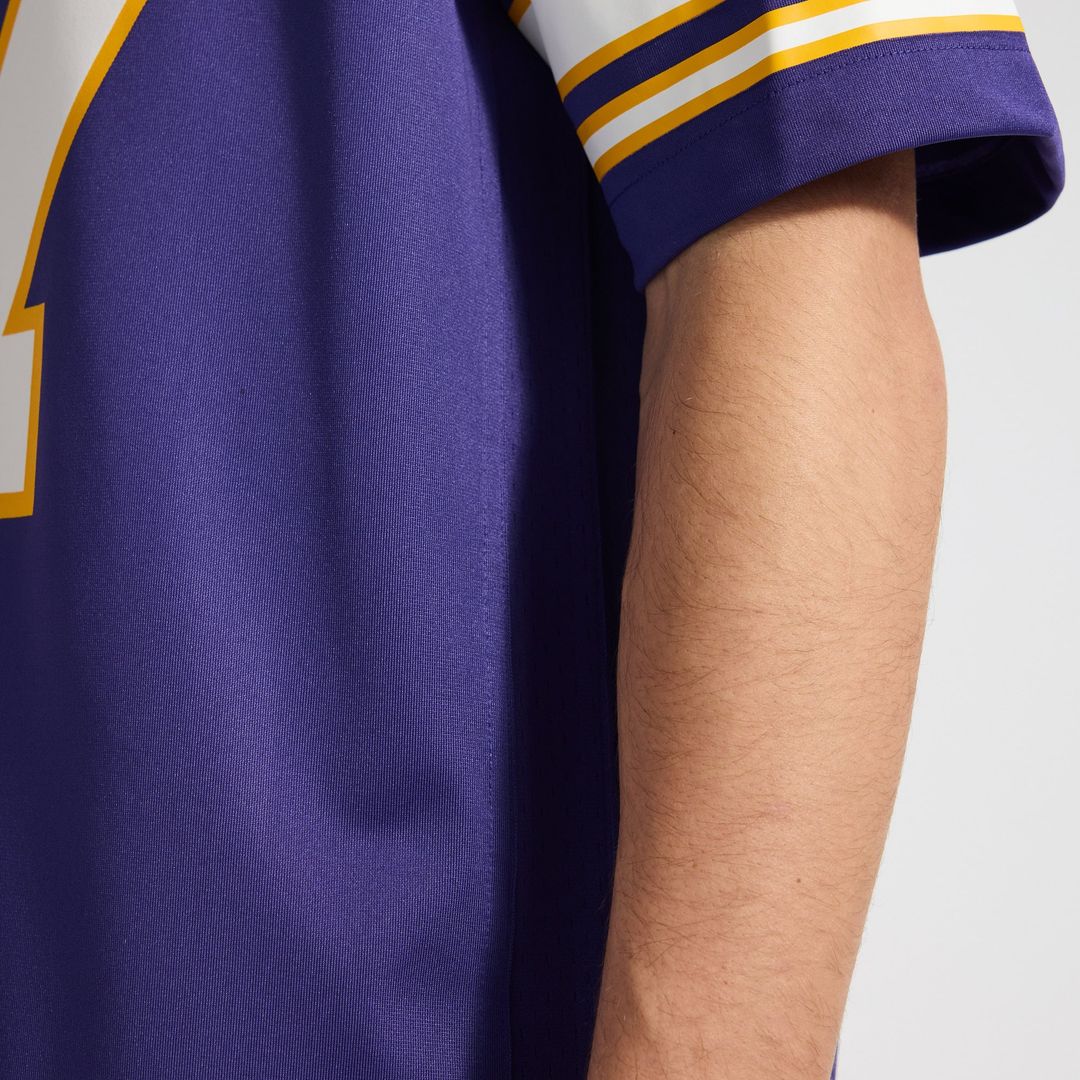 Minnesota Vikings T.J. Hockenson Nike Purple Classic Game product image 13