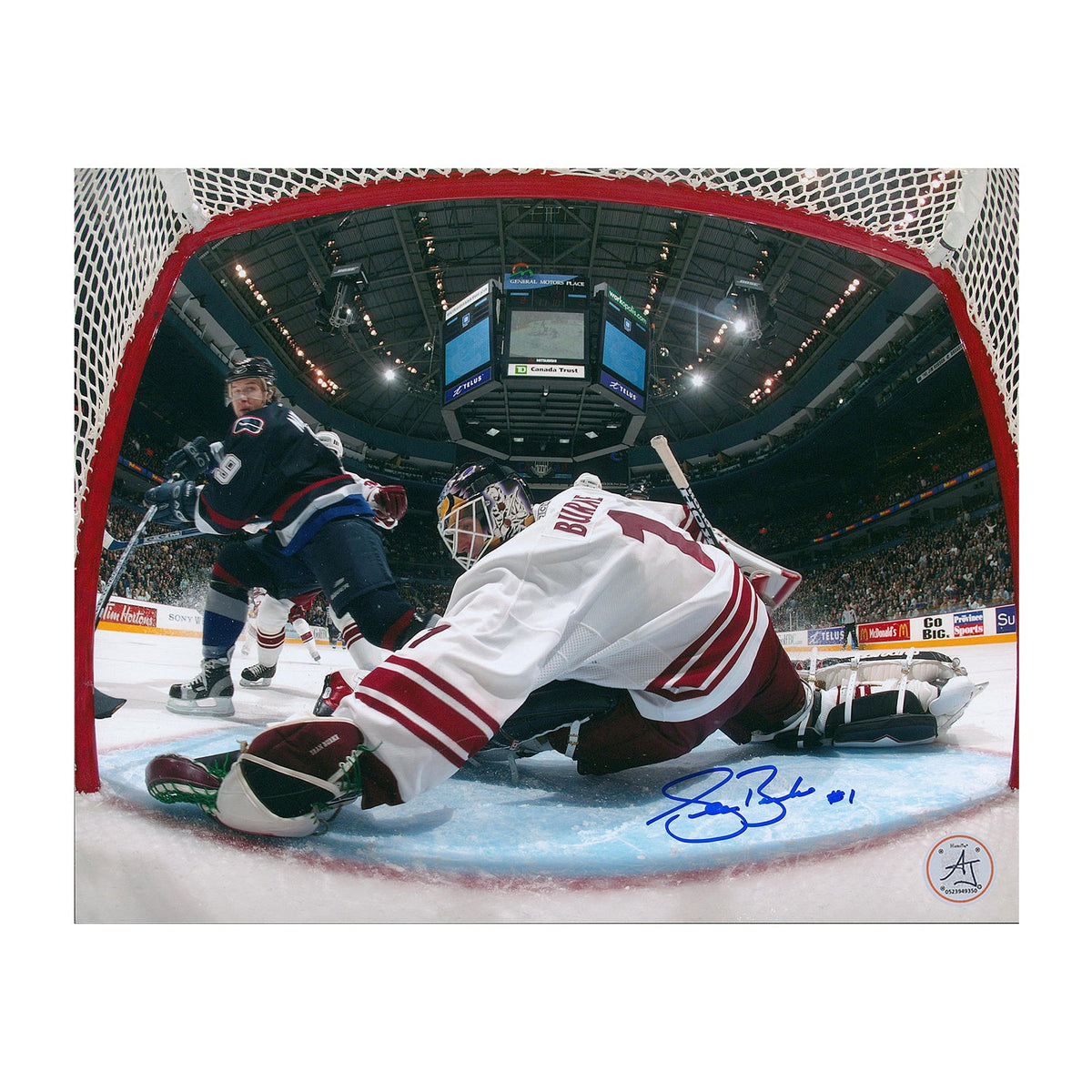 Sean Burke Phoenix Coyotes Autographed Goalie Netcam 8x10 Photo product image 1, provided for visual reference and product