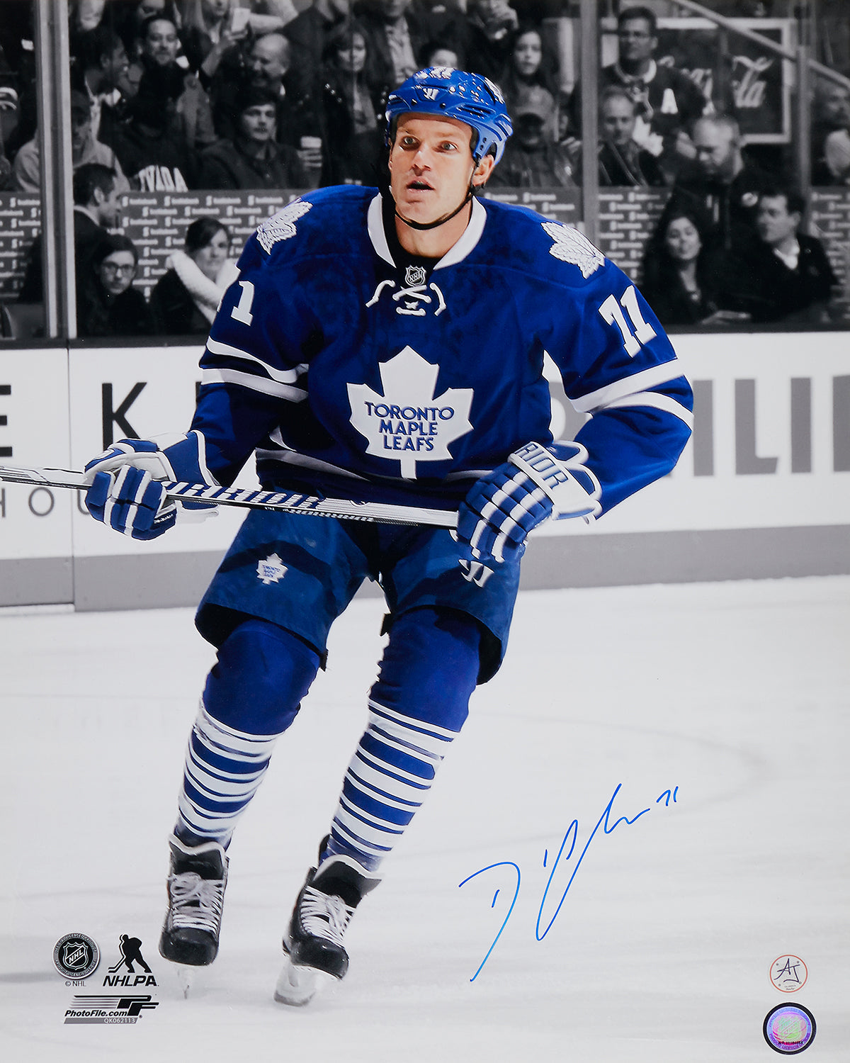 David Clarkson Signed Toronto Maple Leafs Isolation 16x20 Photo product image 1, provided for visual reference and product