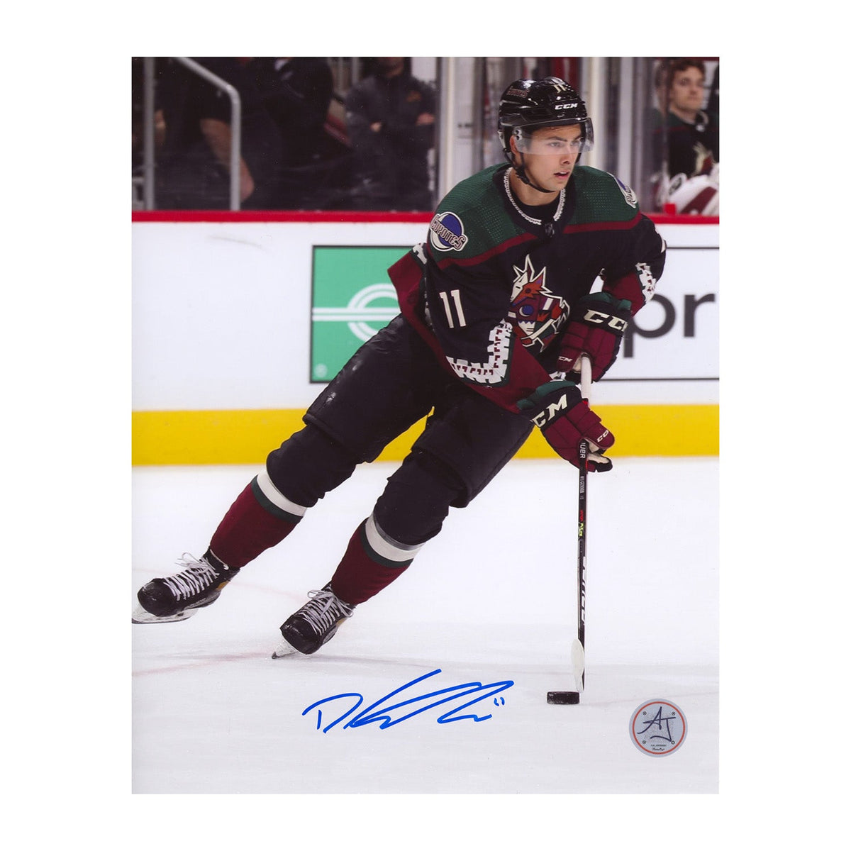 Dylan Guenther Autographed Arizona Coyotes Rookie 8x10 Photo product image 1, provided for visual reference and product