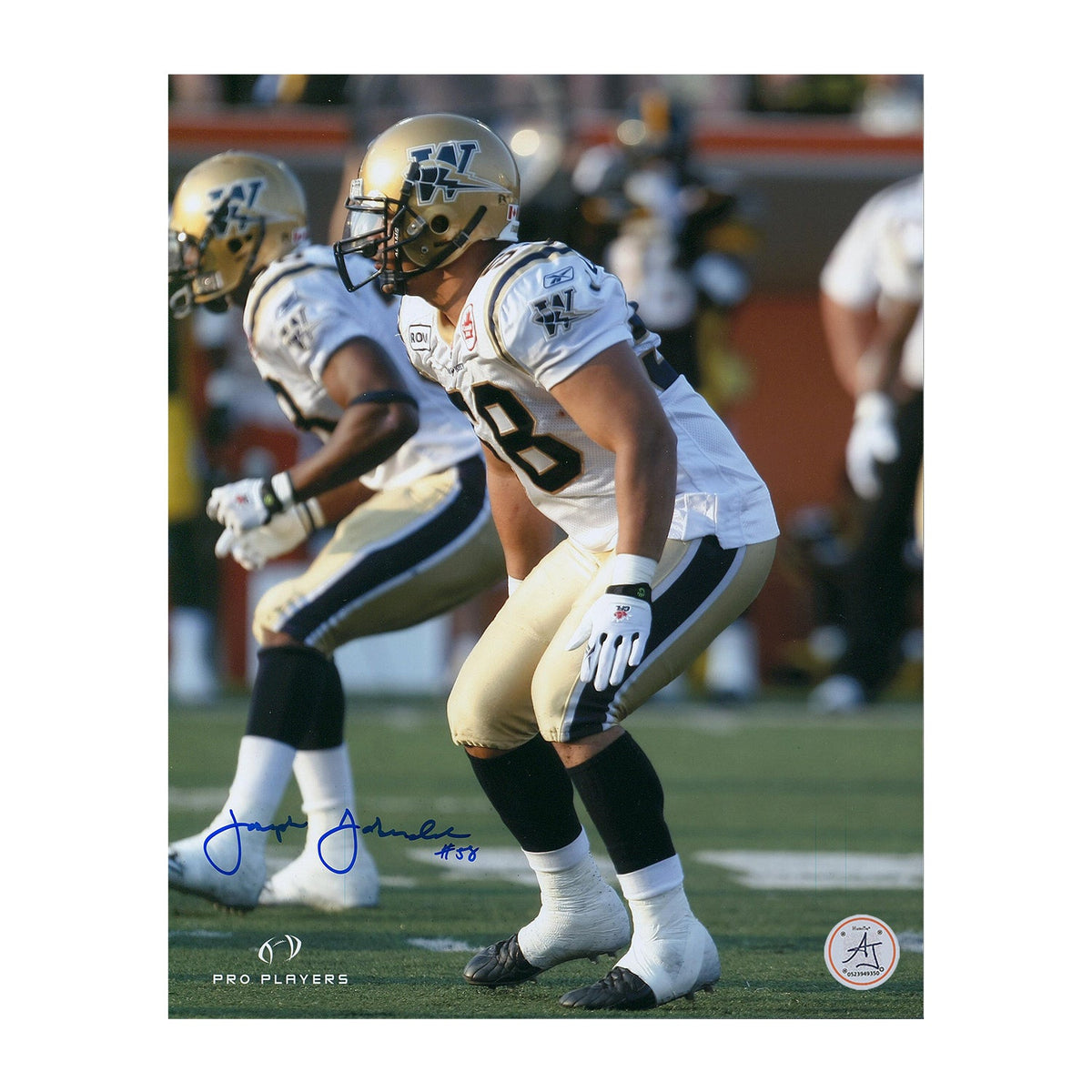 Joe Lobendahn Autographed Winnipeg Blue Bombers Football 8x10 Photo product image 1, provided for visual reference and